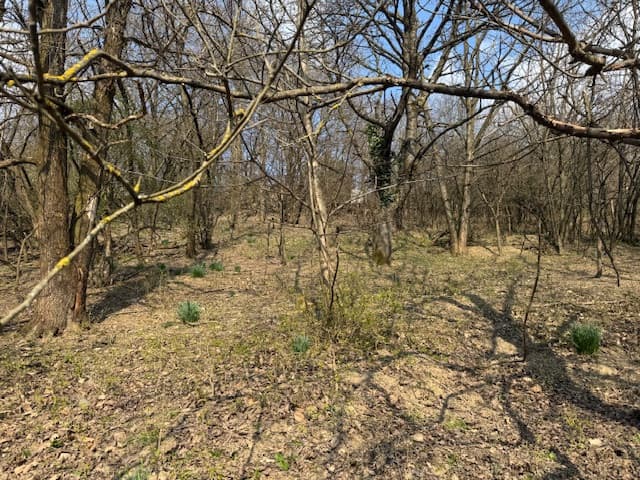 Záhrada - potencionálne investičný pozemok ! – fotka 2
