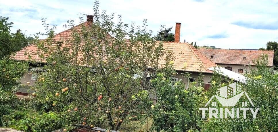 Na predaj rodinný dom v obci Svodín – fotka 2