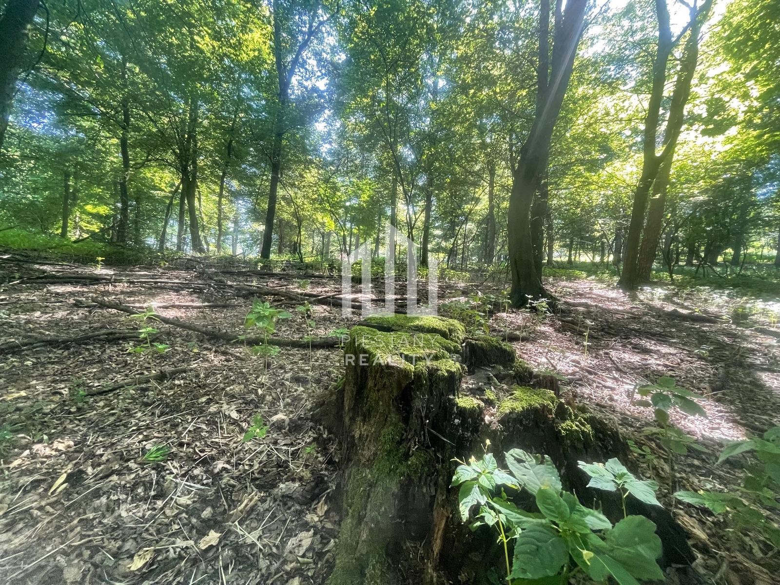 Na predaj samostatná zvernica-poľovný revír 100 ha, Jablonica – fotka 2