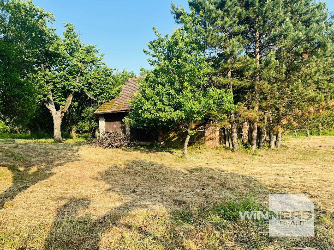 Na predaj veľký pozemok s rodinným domom, 583.292 m2, obec Nemčiňany, okres Zlaté Moravce