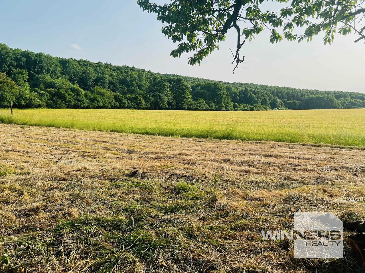 Na predaj veľký pozemok s rodinným domom, 583.292 m2, obec Nemčiňany, okres Zlaté Moravce – fotka 2
