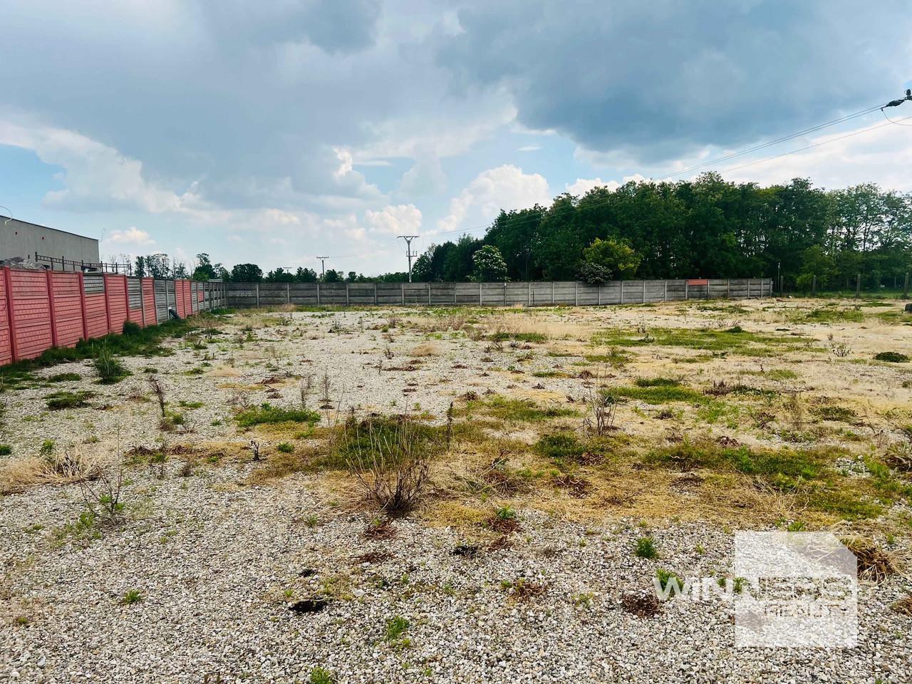 Na  predaj stavebný pozemok 4011 m2, Michal na Ostrove, okres Dunajská Streda – fotka 2