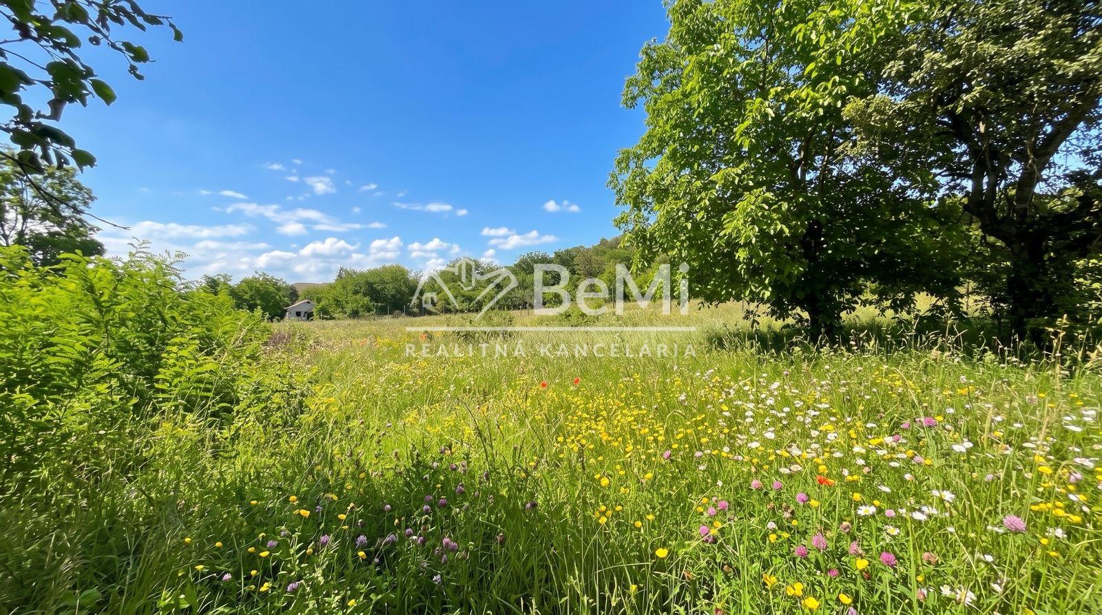 Investičný rozľahlý pozemok 3239 m2, Dudince-Merovce – fotka 2