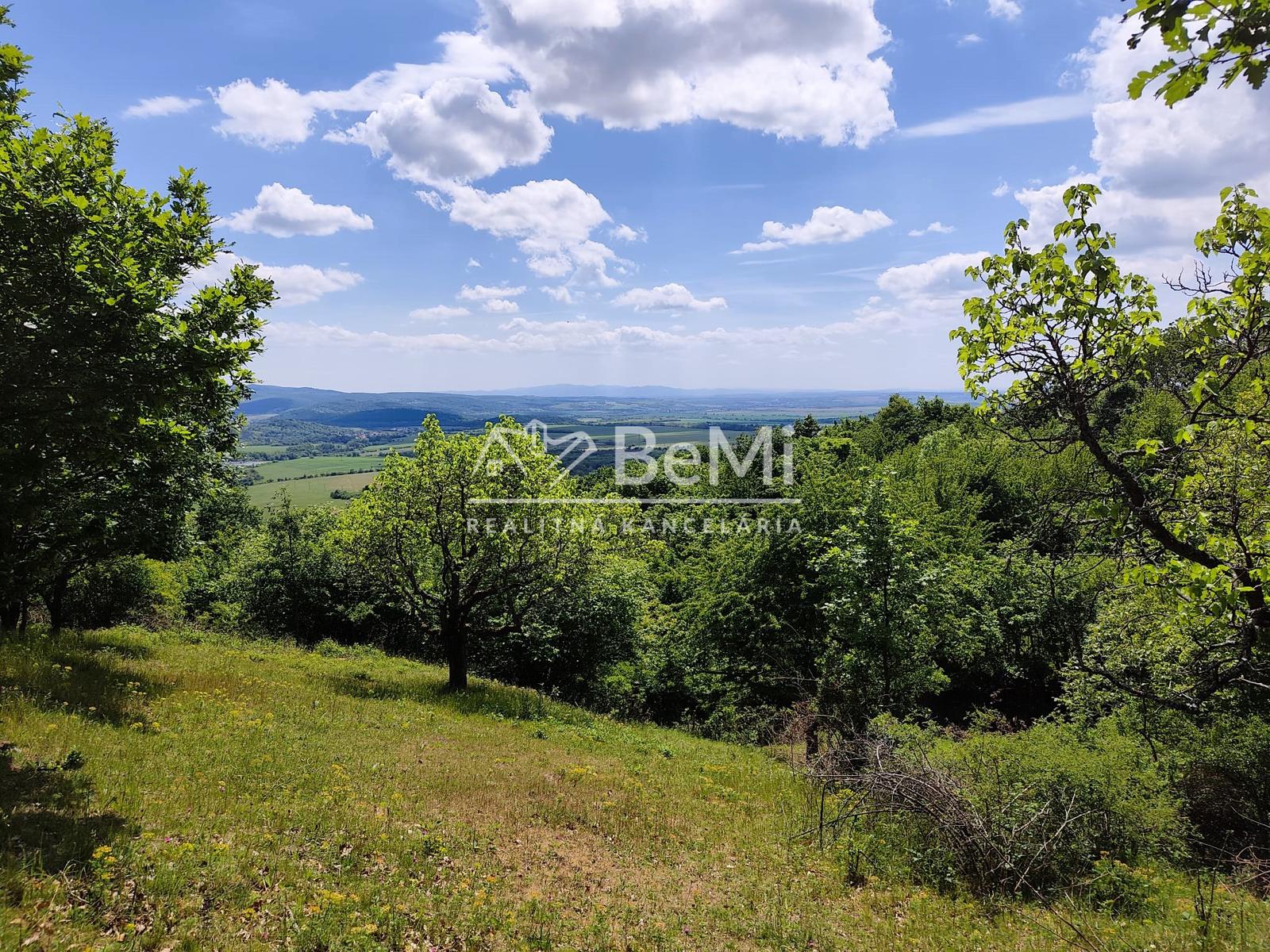 Predaj, rekreačné pozemky  - Pukanec / Štiavnické vrchy (016-14-SIHA)