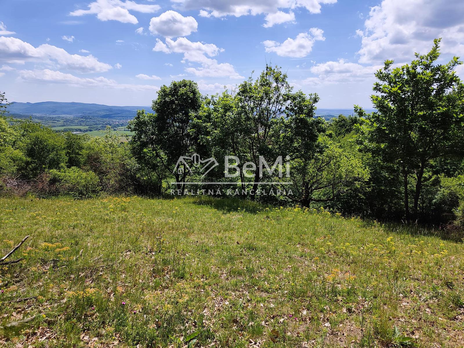 Predaj, rekreačné pozemky  - Pukanec / Štiavnické vrchy (016-14-SIHA) – fotka 2