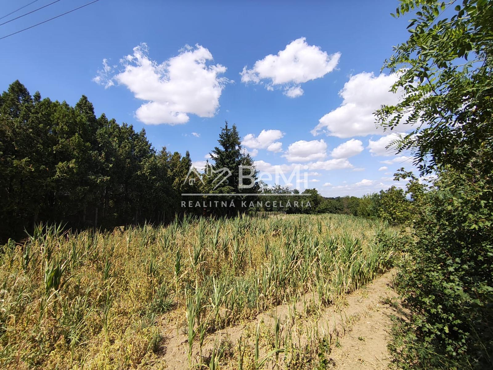 Stavebný pozemok s investičným potenciálom -  Dolný Pial 2136 m2 (035-14-MIMI) – fotka 2
