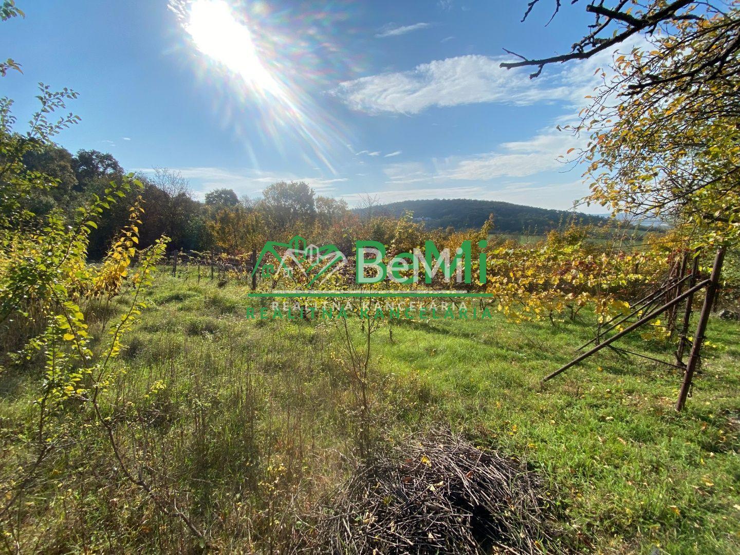 Pozemky Nitra Dražovce " pod Zoborom " ID 528-14-MIG – fotka 2