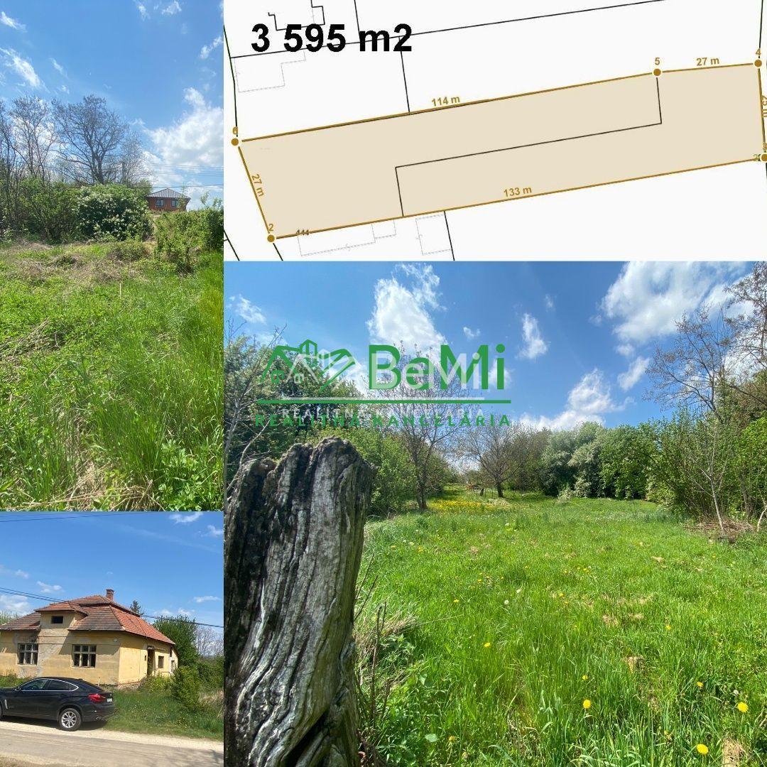 Pozemok v obci Sľažany 3 595 m2 intravilán ID 558-14-MIG – fotka 2