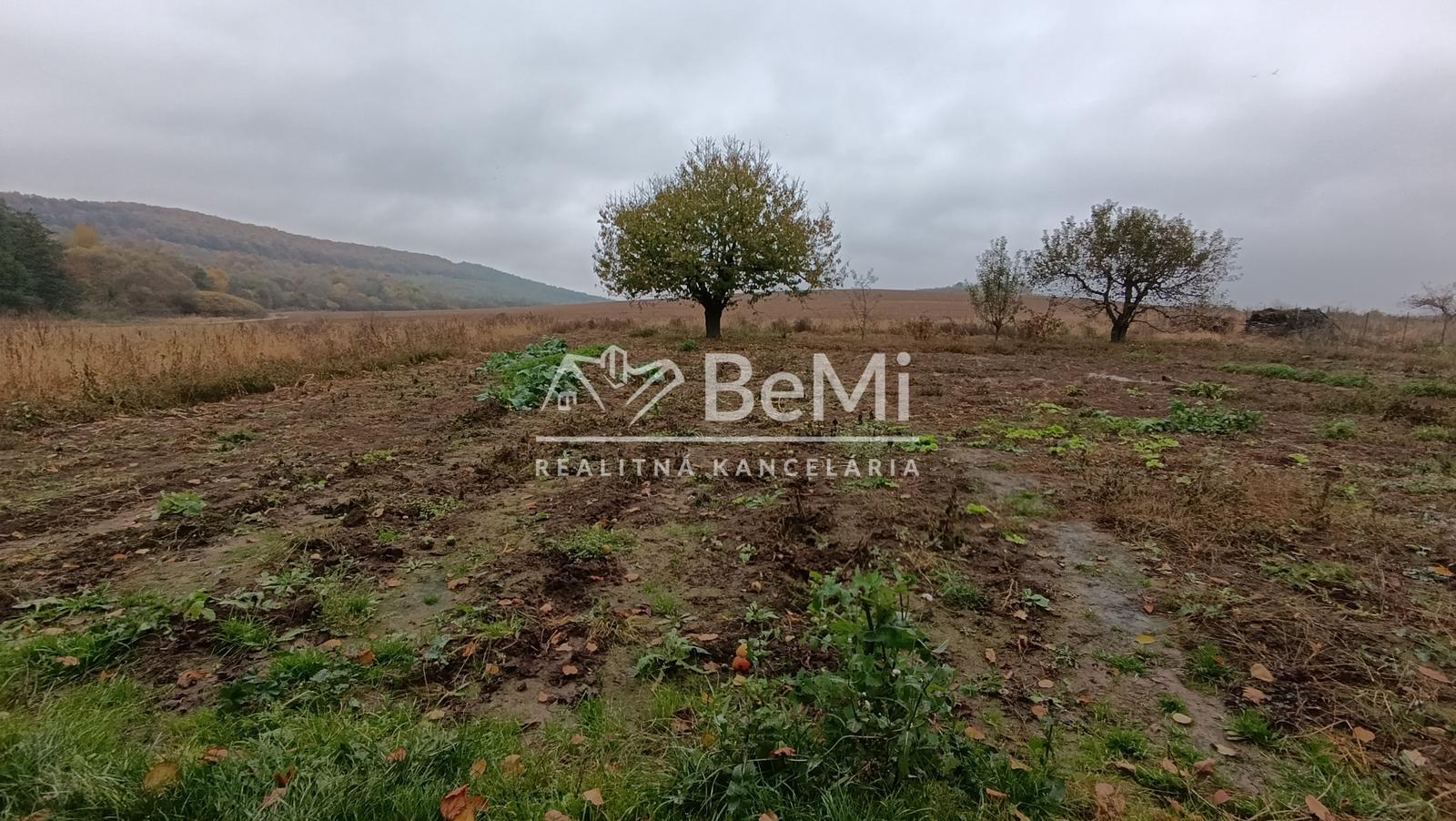 Pozemok 3500 m2 s domom v obci Hernádvecse-39900,-Eur