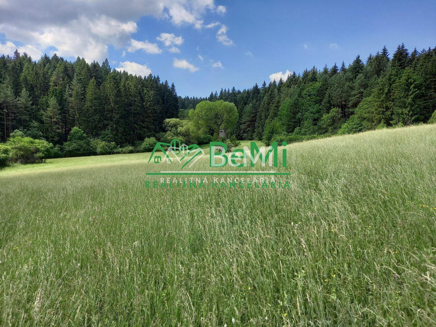 Predaj: Pozemok 7559m2,  Dolný Hričov - Peklina (005-14-BOC) – fotka 2
