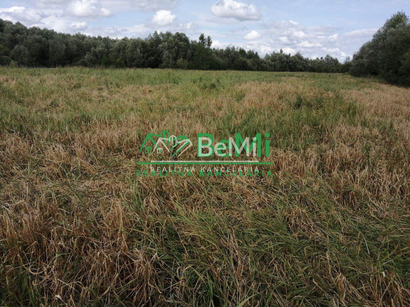 Predaj: Pozemok,6 399m2, Bytča-Predmier (056-14-MACHa) – fotka 2