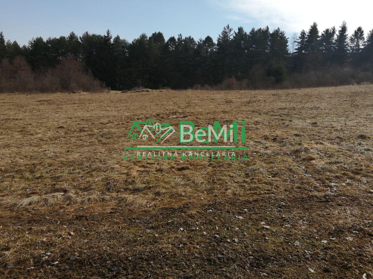 Predaj: Pozemok, 3667 m2, Petrovice (090-14-MACHa) – fotka 2