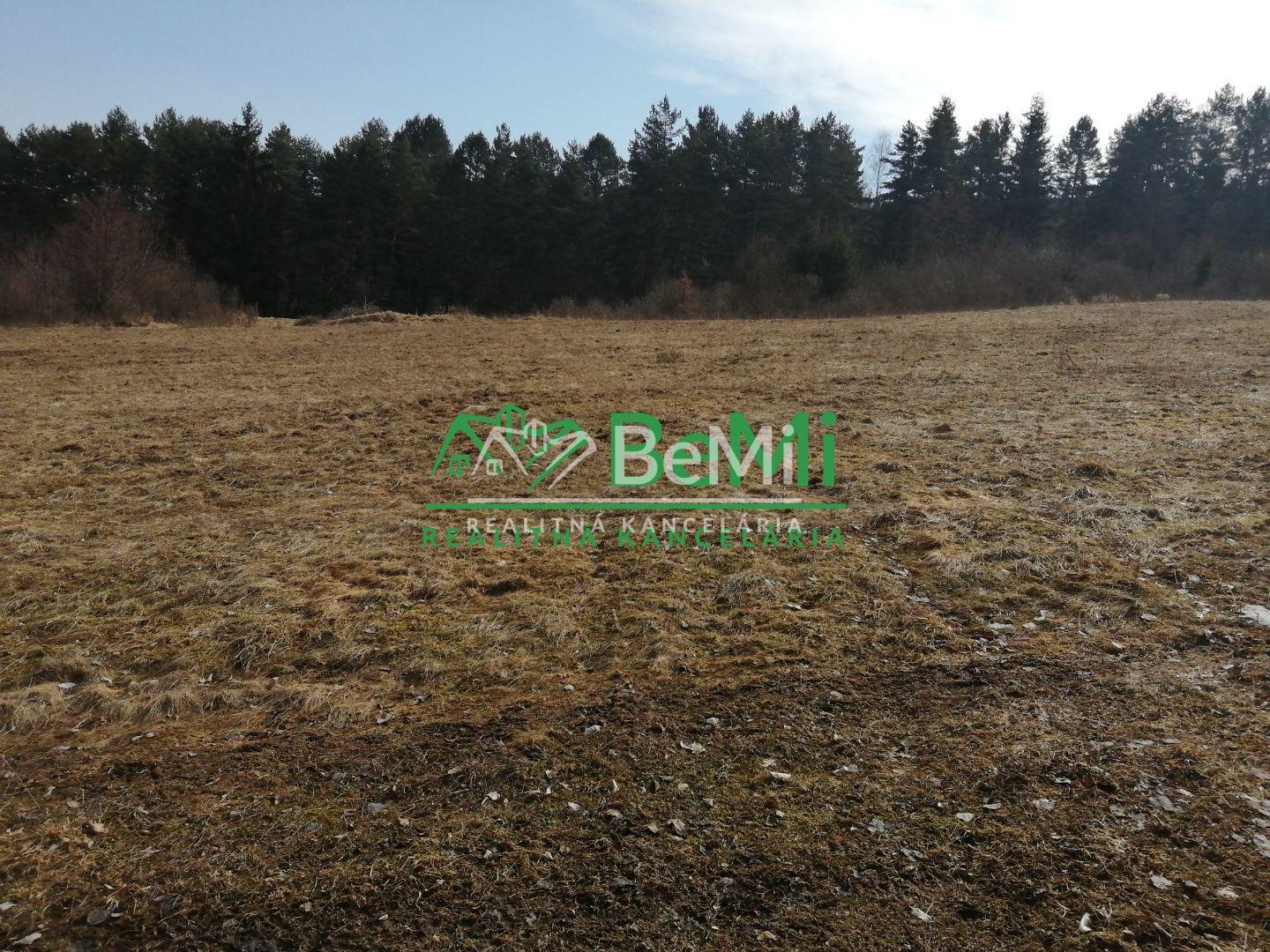 Predaj: Pozemok, 3667 m2, Petrovice (090-14-MACHa)