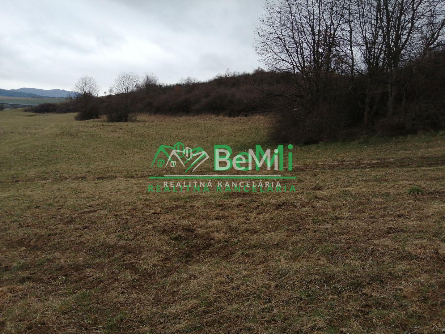Predaj: Investičný pozemok, 9999 m2,  Hôrky (097-14-MACH) – fotka 2