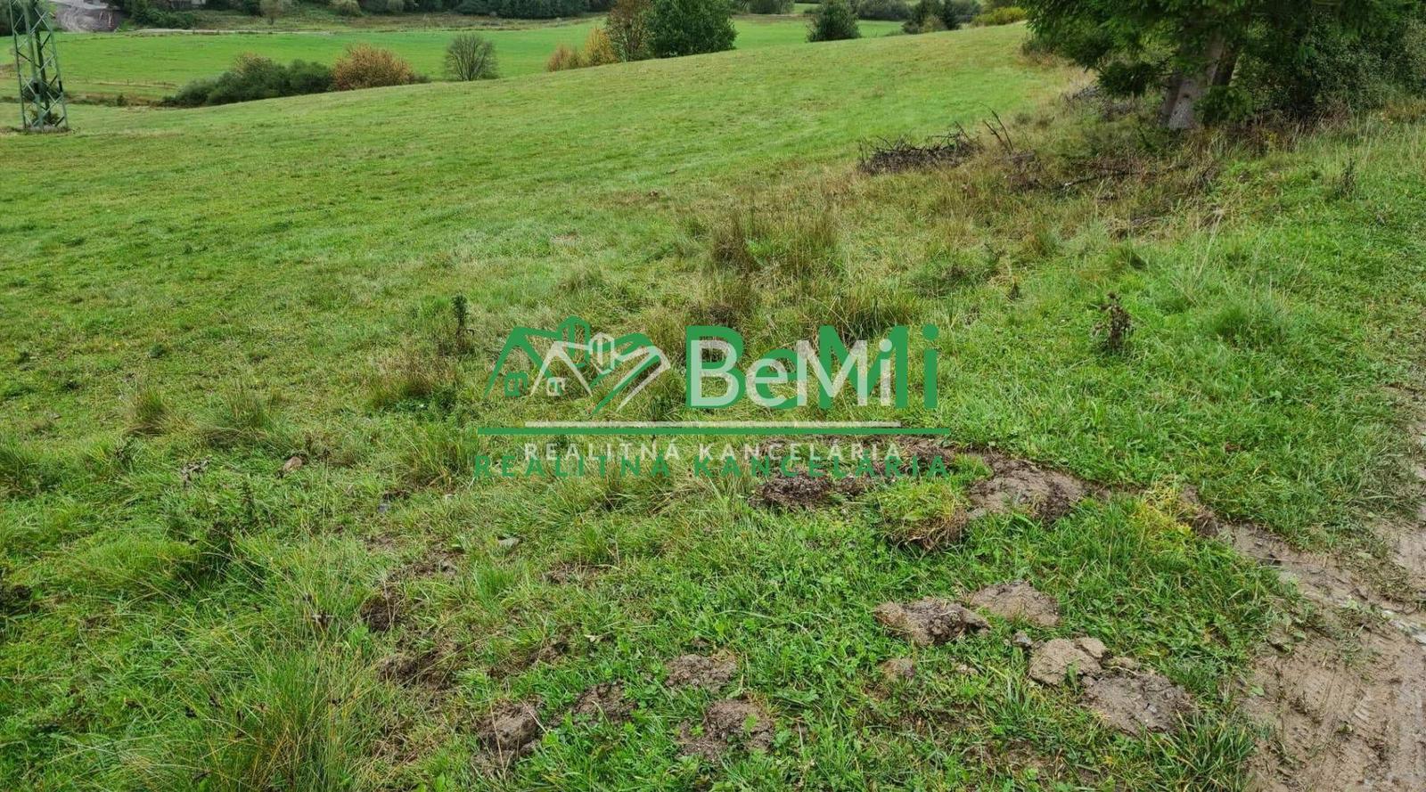 Predaj: Pozemok, 2800m2 v Raková okr. Čadca (807-14-JAS)