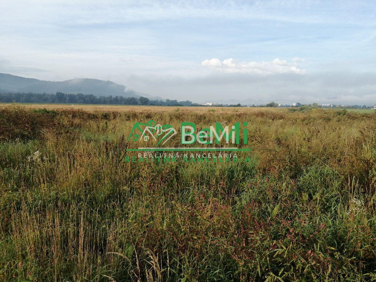 Predaj: investičný pozemok,90 841m2, Kotešová (205-14-MACHa)