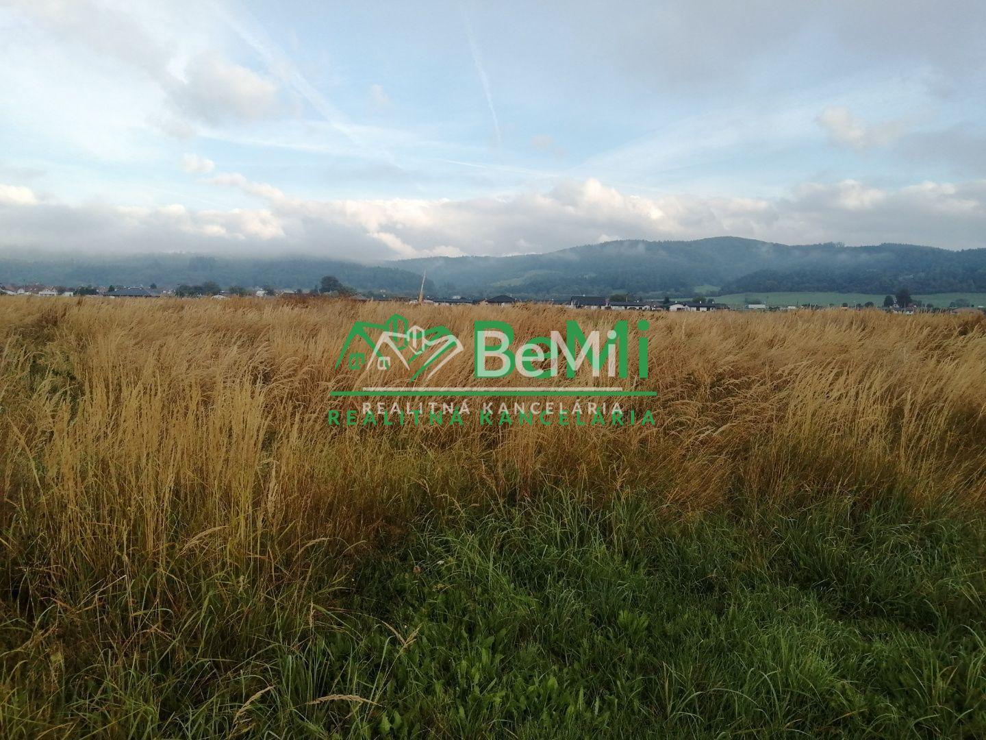 Predaj: investičný pozemok,90 841m2, Kotešová (205-14-MACHa) – fotka 2