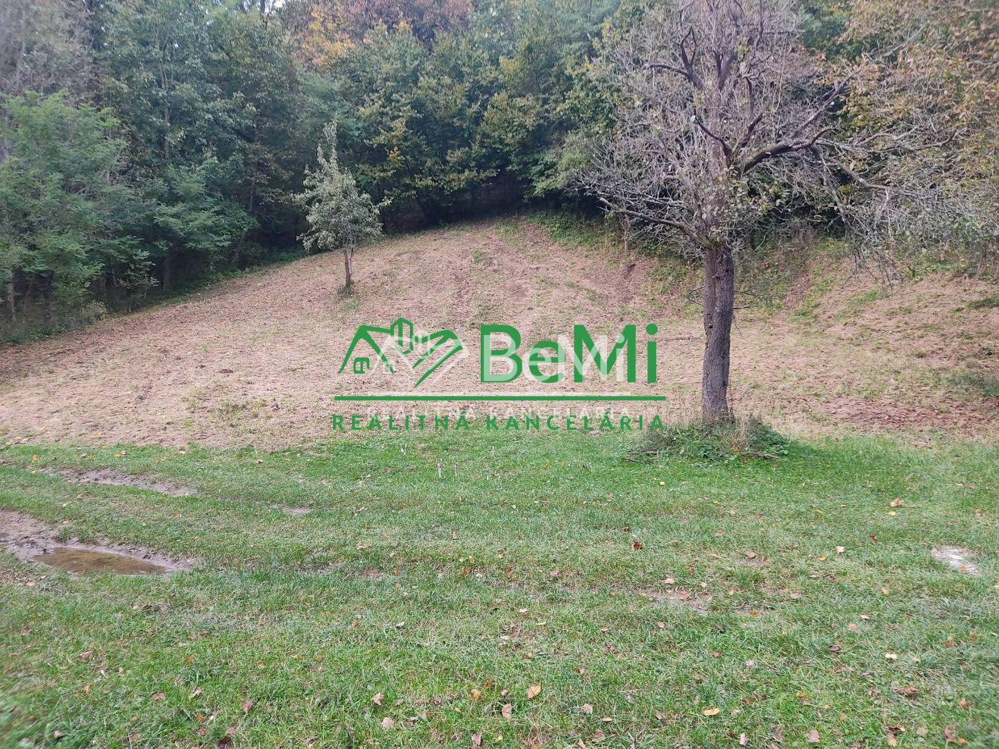 Chata v obci Belá, okres Žilina, 1336m2 – fotka 2
