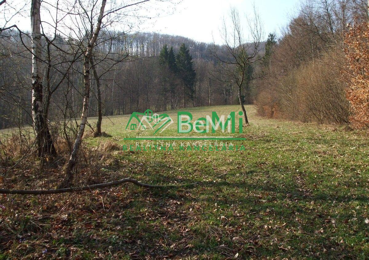 Predaj: Pozemok Lysica, okr. Žilina, 48338m2,( 075-14-PEMOa)