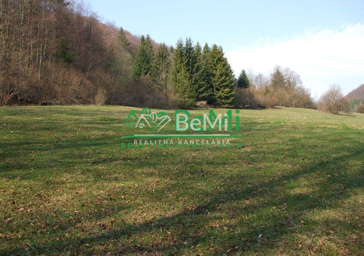 Predaj: Pozemok Lysica, okr. Žilina, 48338m2,( 075-14-PEMOa) – fotka 2