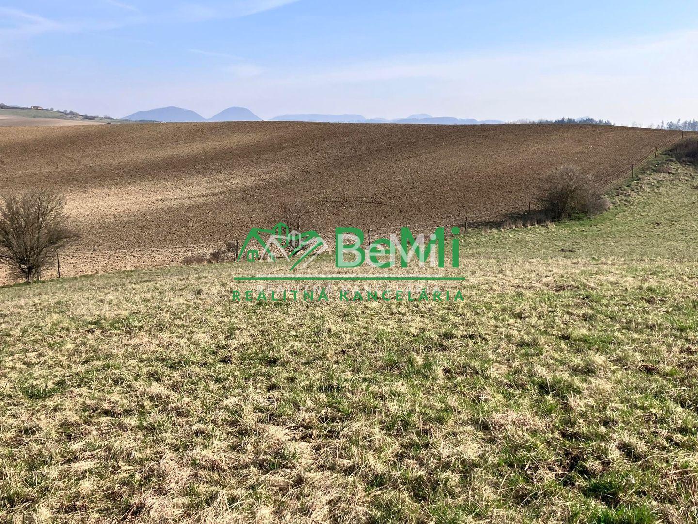 Predaj: Pozemok v Hôrky, okres Žilina, 4511m2( 036-14-JAGAa) – fotka 2