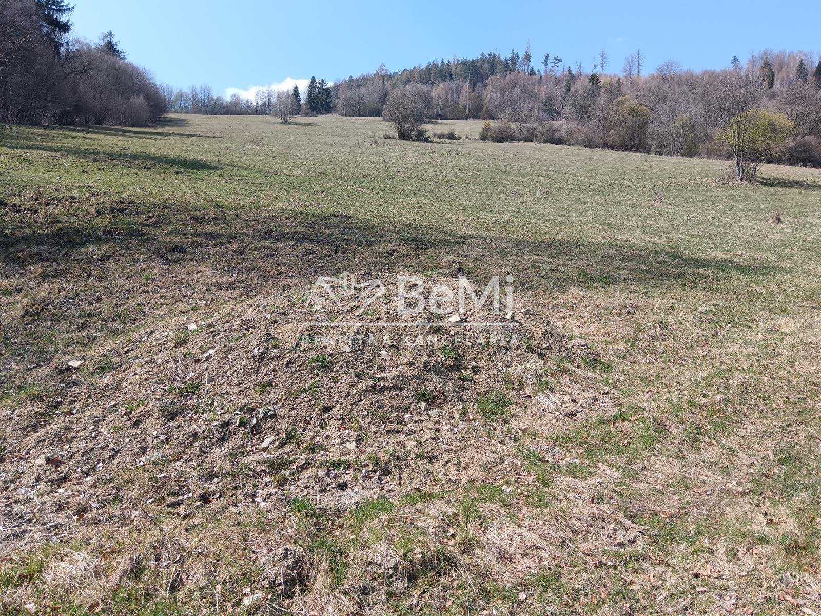 Predaj: Investičný pozemok,1951m2,Vadičov (256-14-MACH) – fotka 2