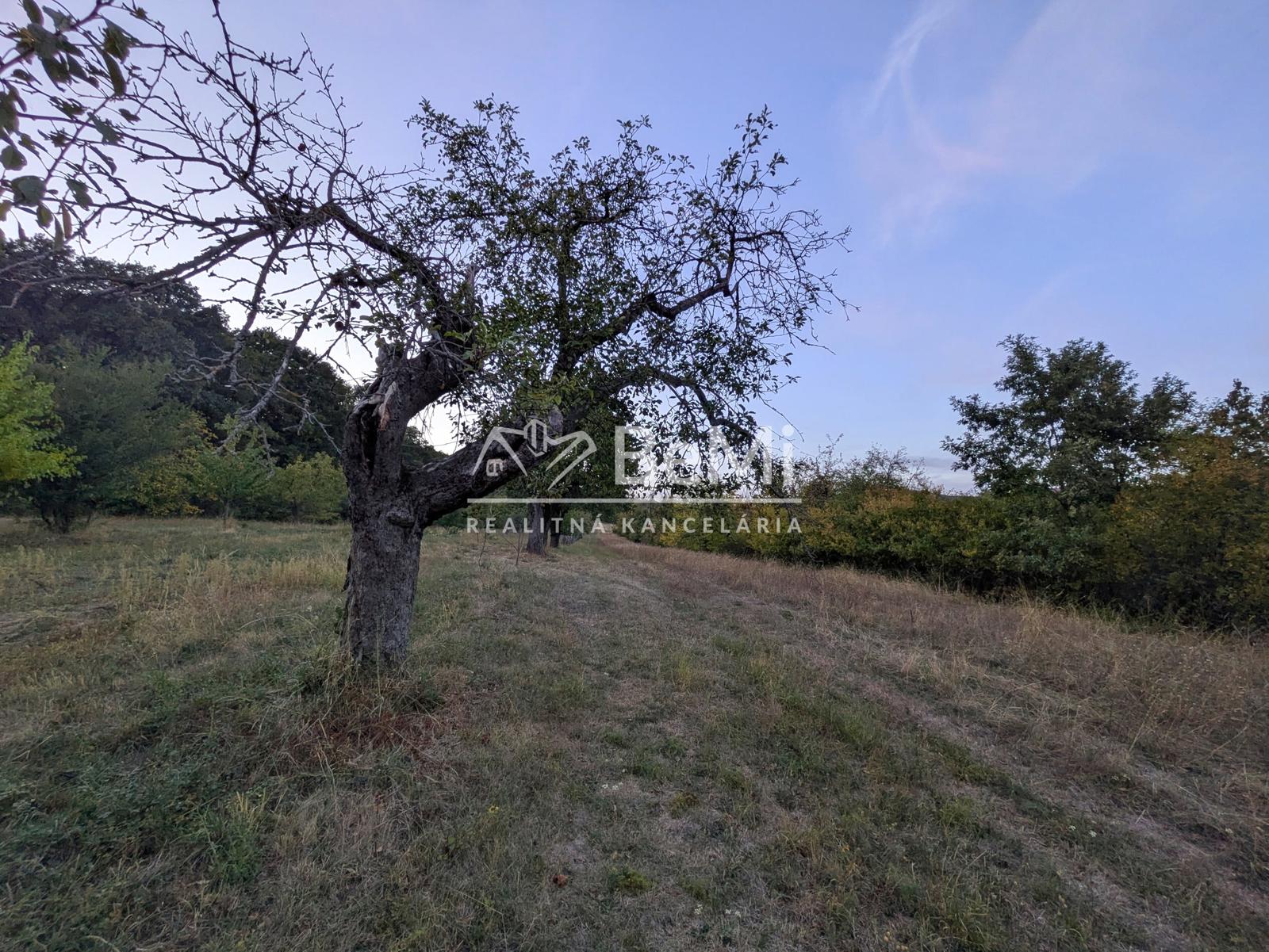 Predaj pozemku - Čaradice (1236-14-AFI)