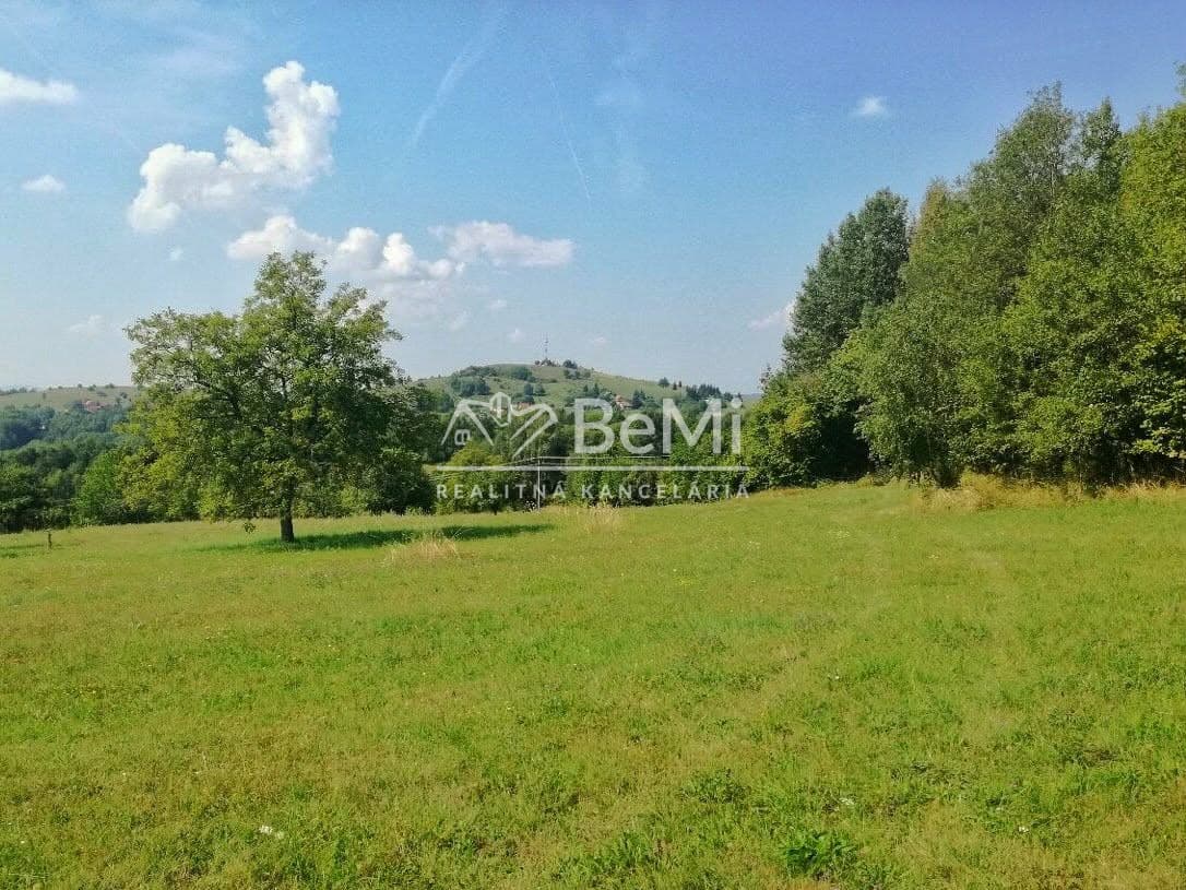 Predaj, rozľahlý slnečný pozemok- Nová Baňa (004-14-ZOLAa)