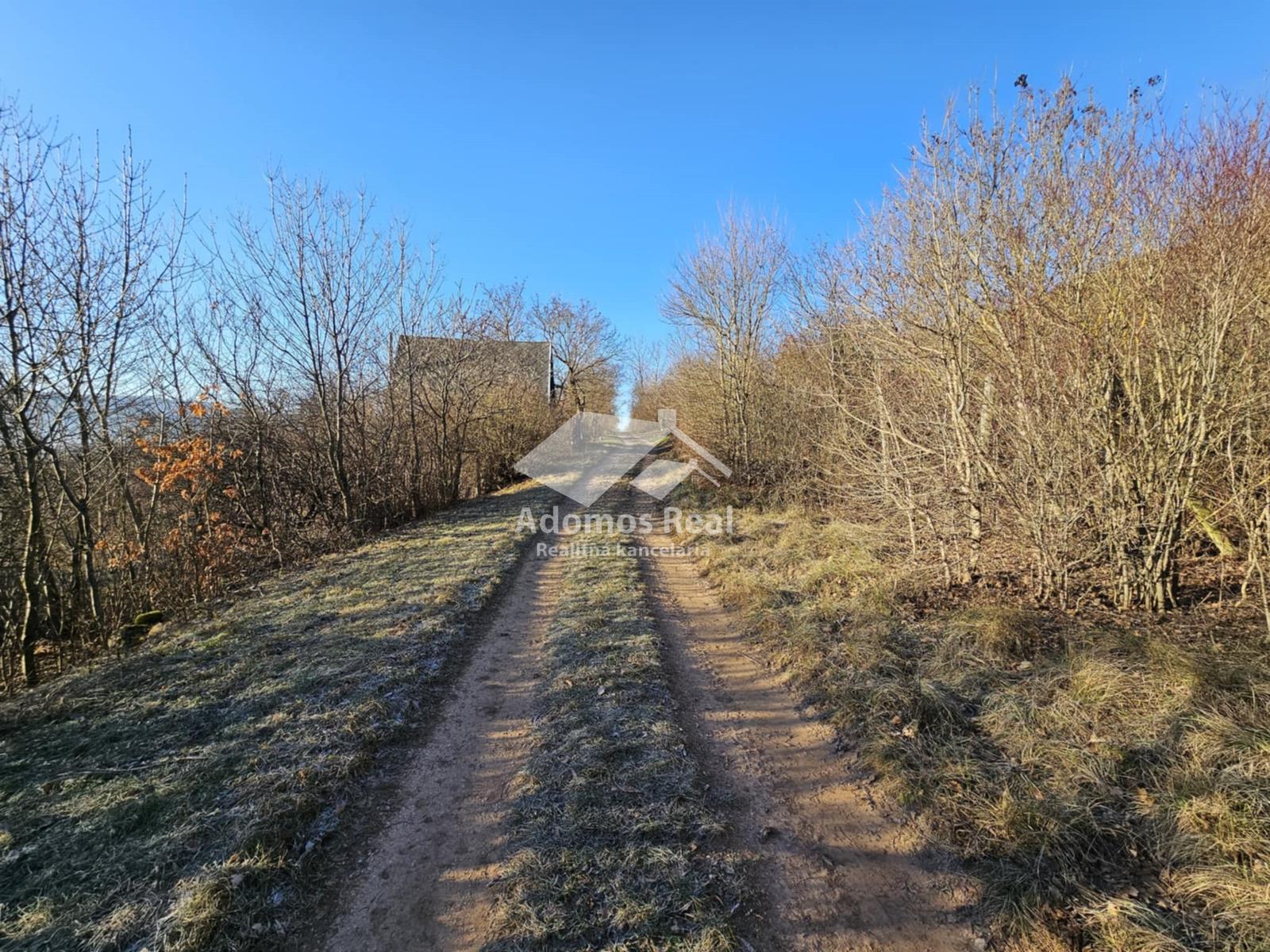 ZÁHRADA - TURŇA NAD BODVOU/ZÁDIEL – fotka 2
