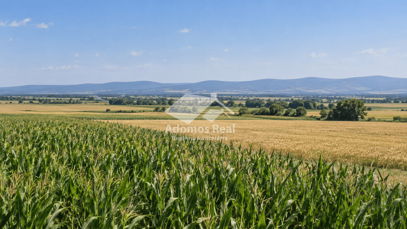 POĽNOHOSPODÁRSKY POZEMOK – KECHNEC