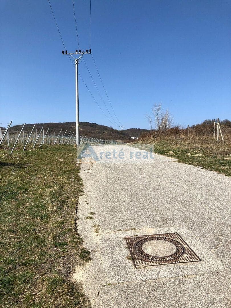 Areté real - Predaj vinice v Modre pri Kalvárii