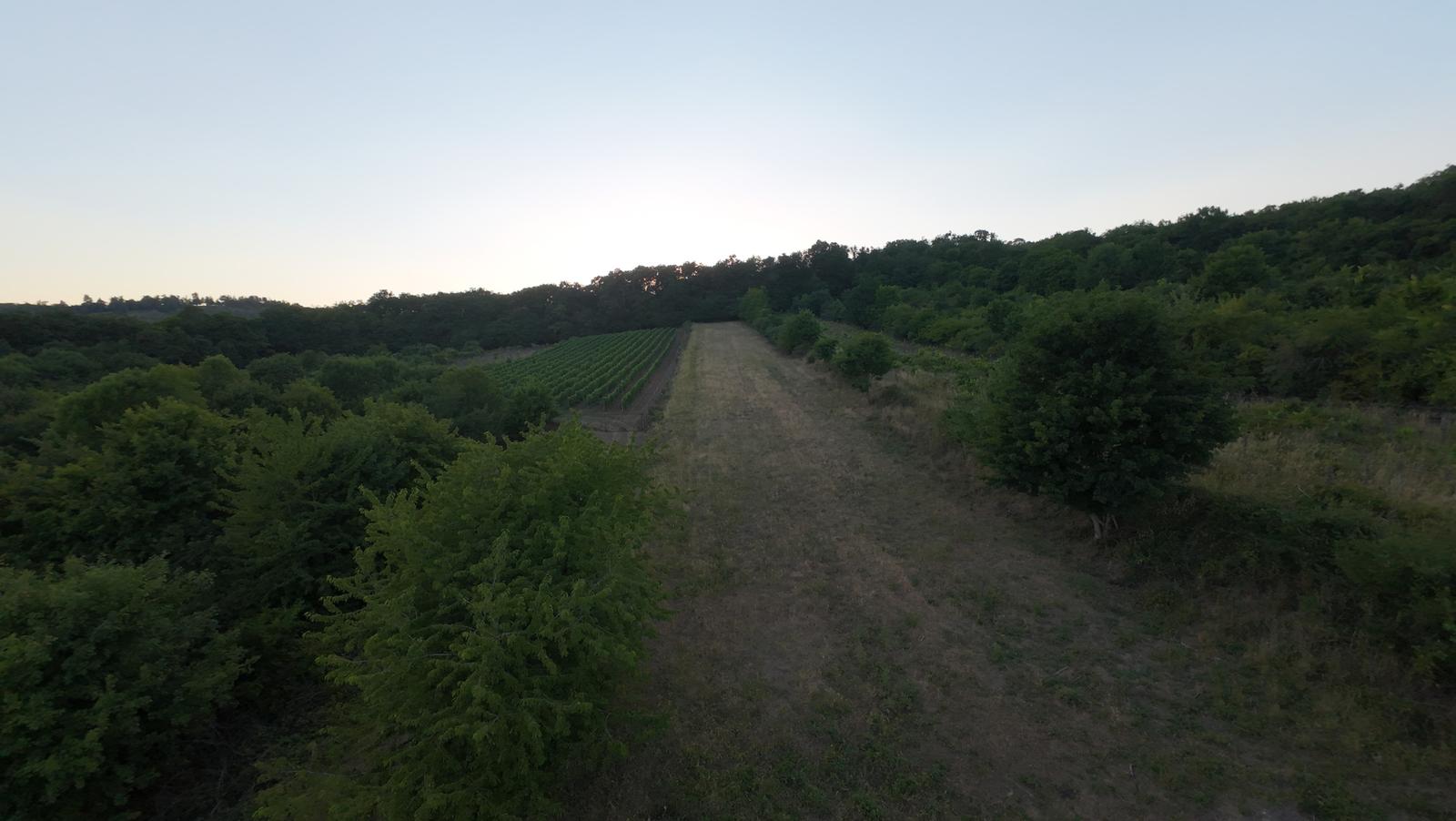 arete.sk – PREDAJ 3892m2 VINICE, PEZINOK, STARÁ HORA – fotka 2