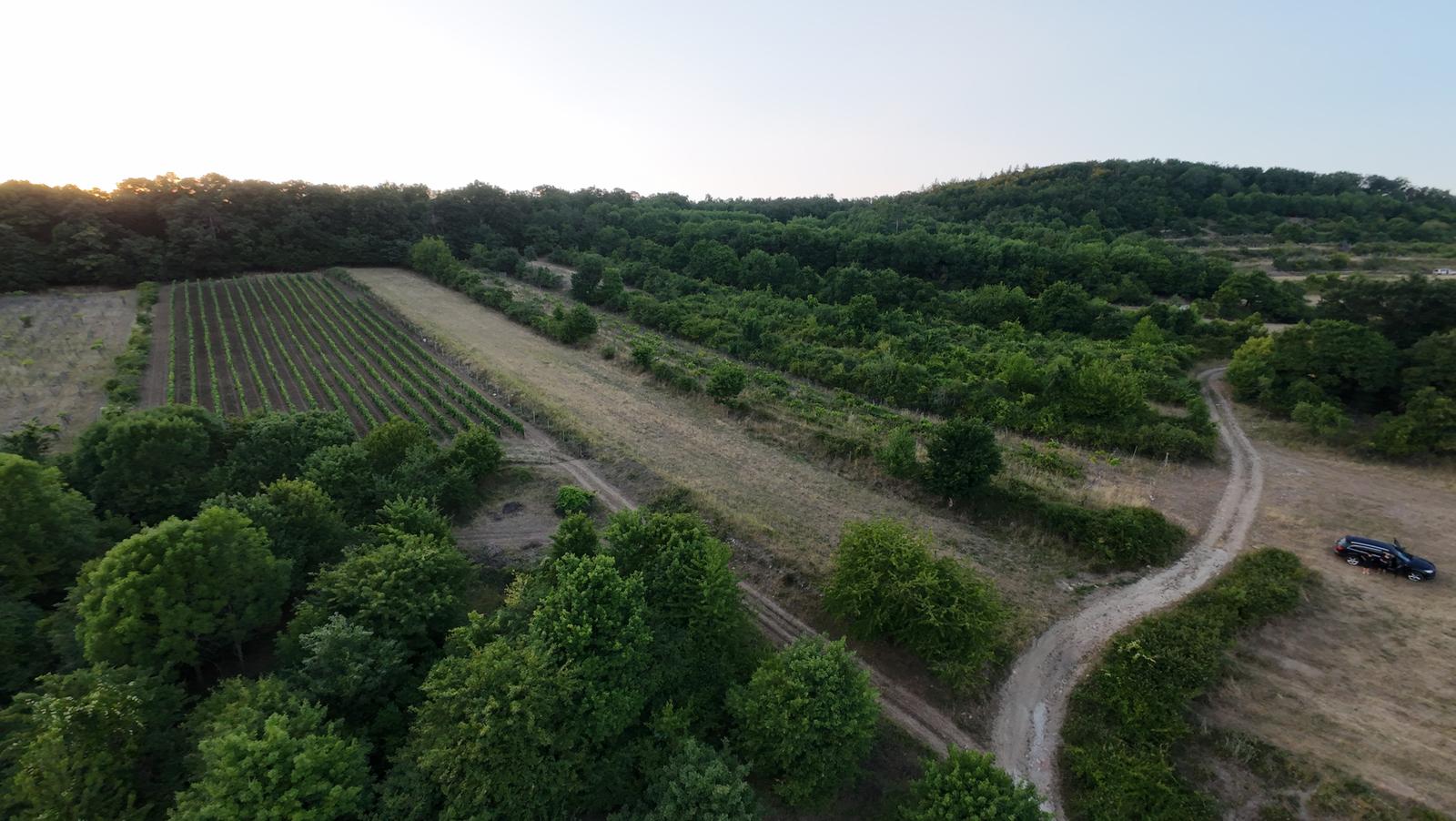 arete.sk – PREDAJ 3892m2 VINICE, PEZINOK, STARÁ HORA