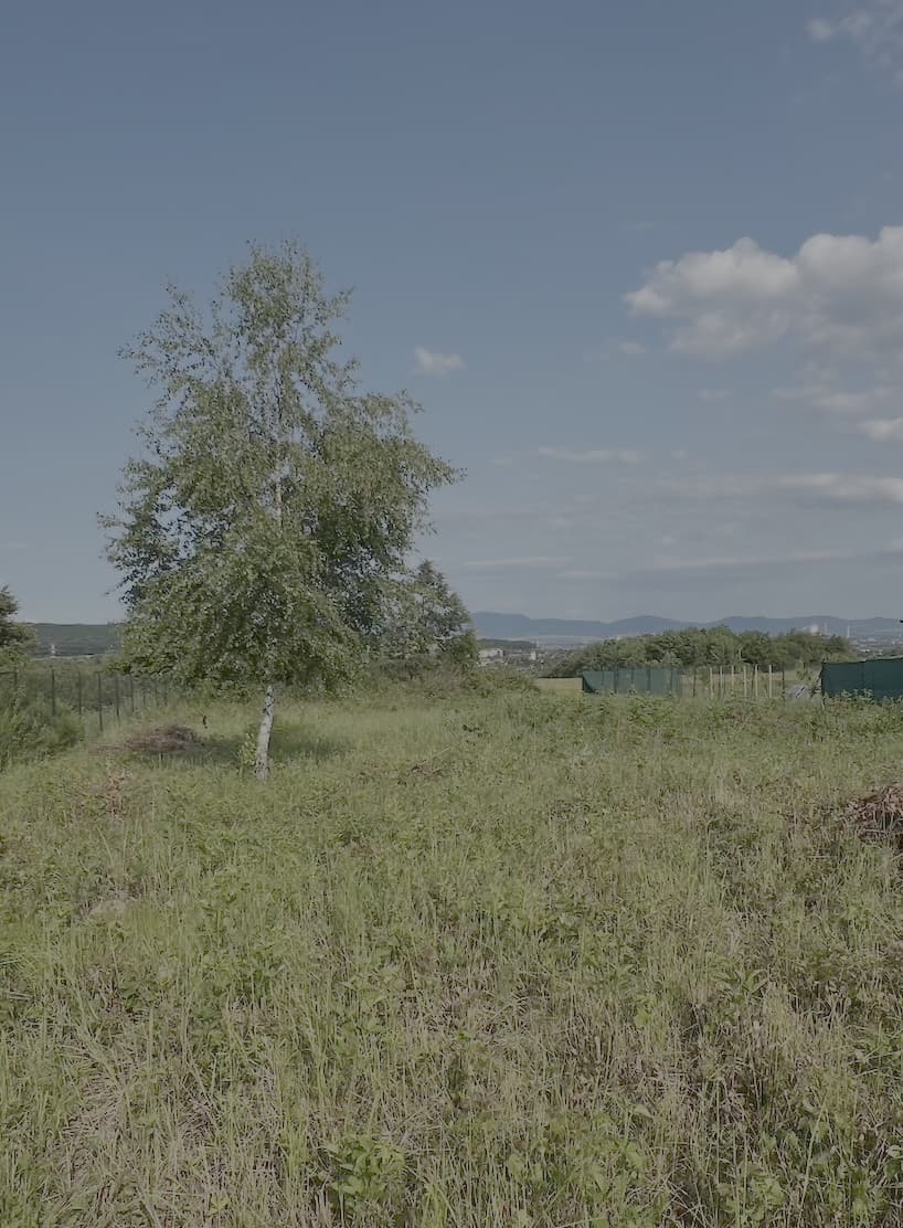 Na predaj pozemok - záhrada v Košiciach – fotka 2