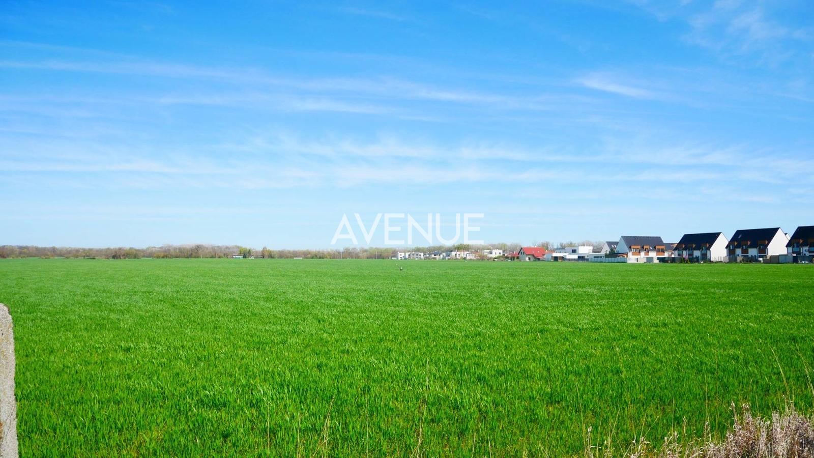 AVENUE | rovinatý pozemok, výhodná investícia, Čuňovo. – fotka 2