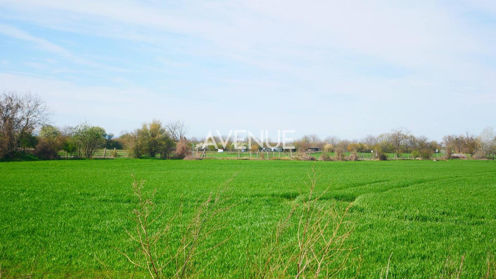 AVENUE | rovinatý pozemok, výhodná investícia, Čuňovo.