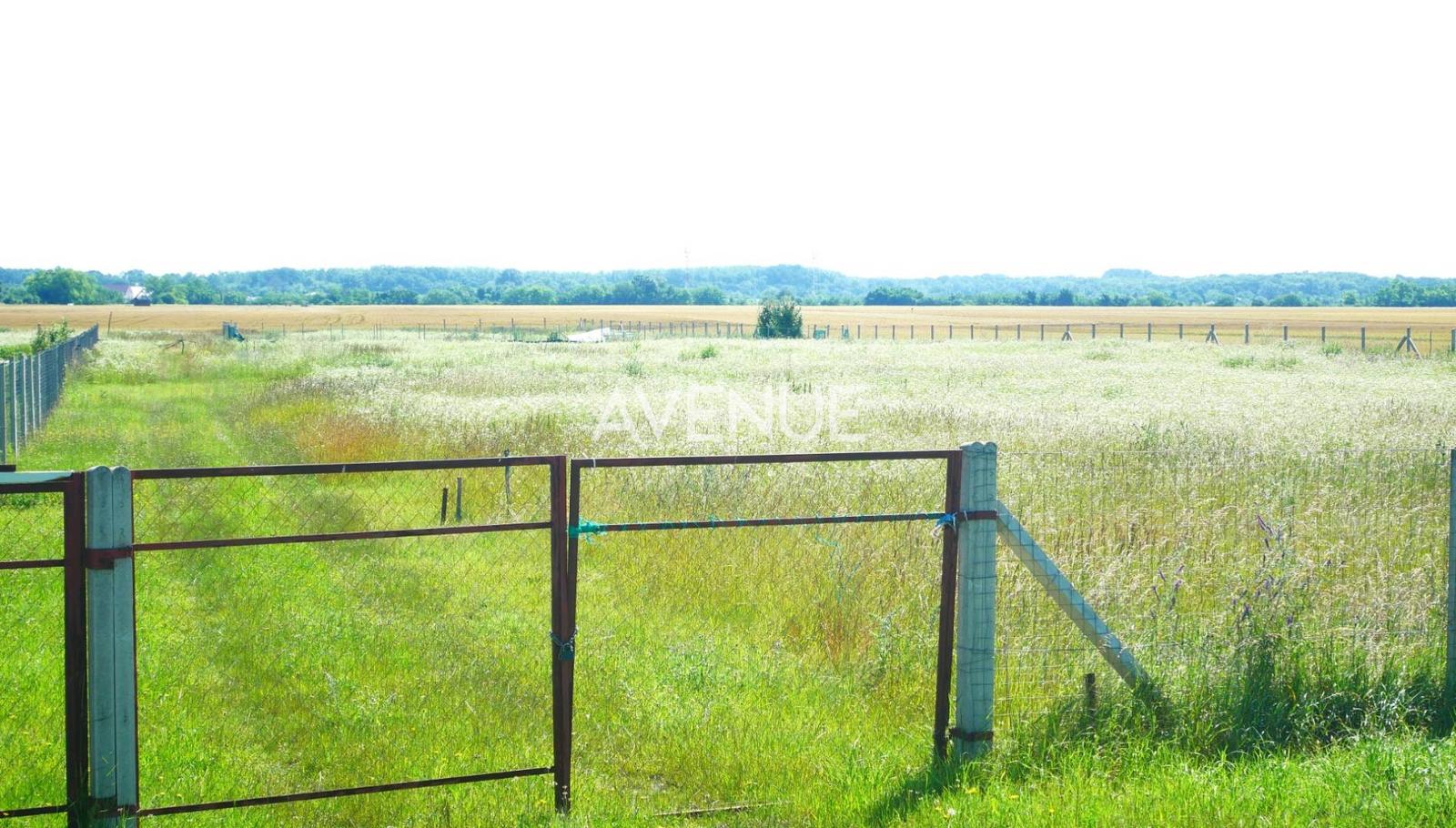 AVENUE | rovinatý pozemok v katastri mestskej časti  Čuňovo. – fotka 2