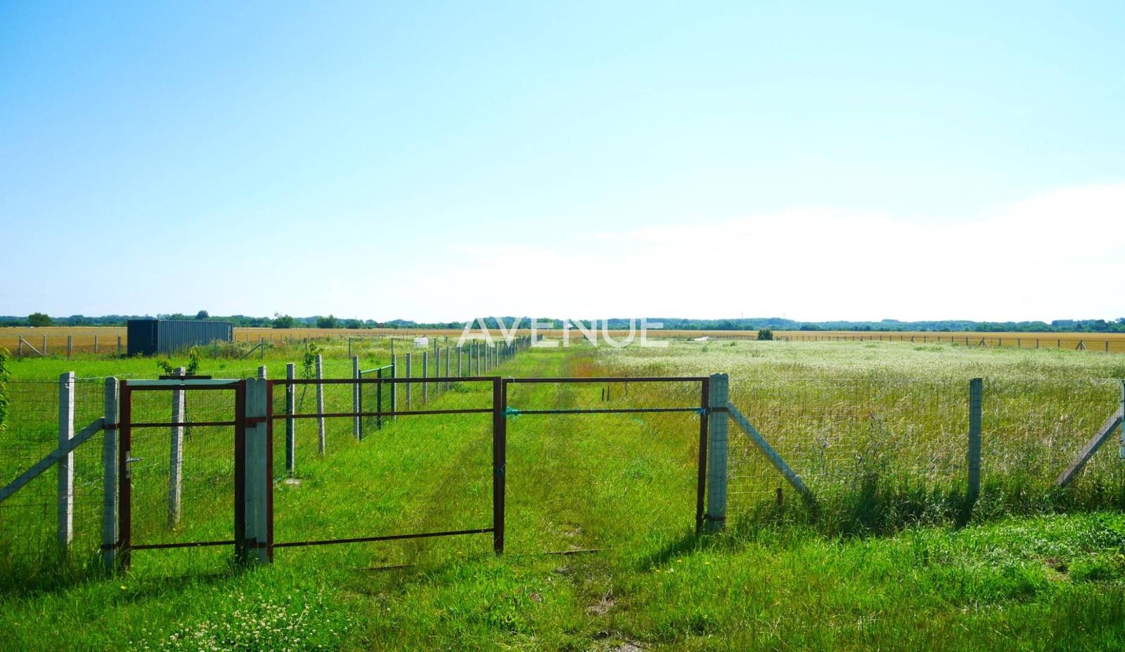 AVENUE | rovinatý pozemok v katastri mestskej časti  Čuňovo.