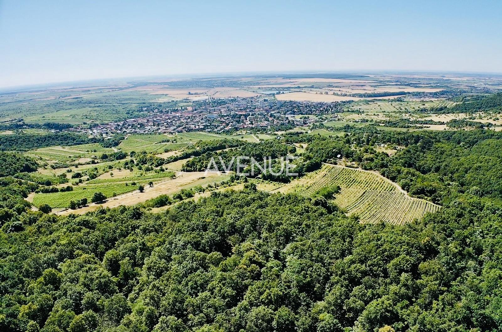 AVENUE | Výnimočný pozemok v srdci Malých Karpát | Modra | 2 845 m²