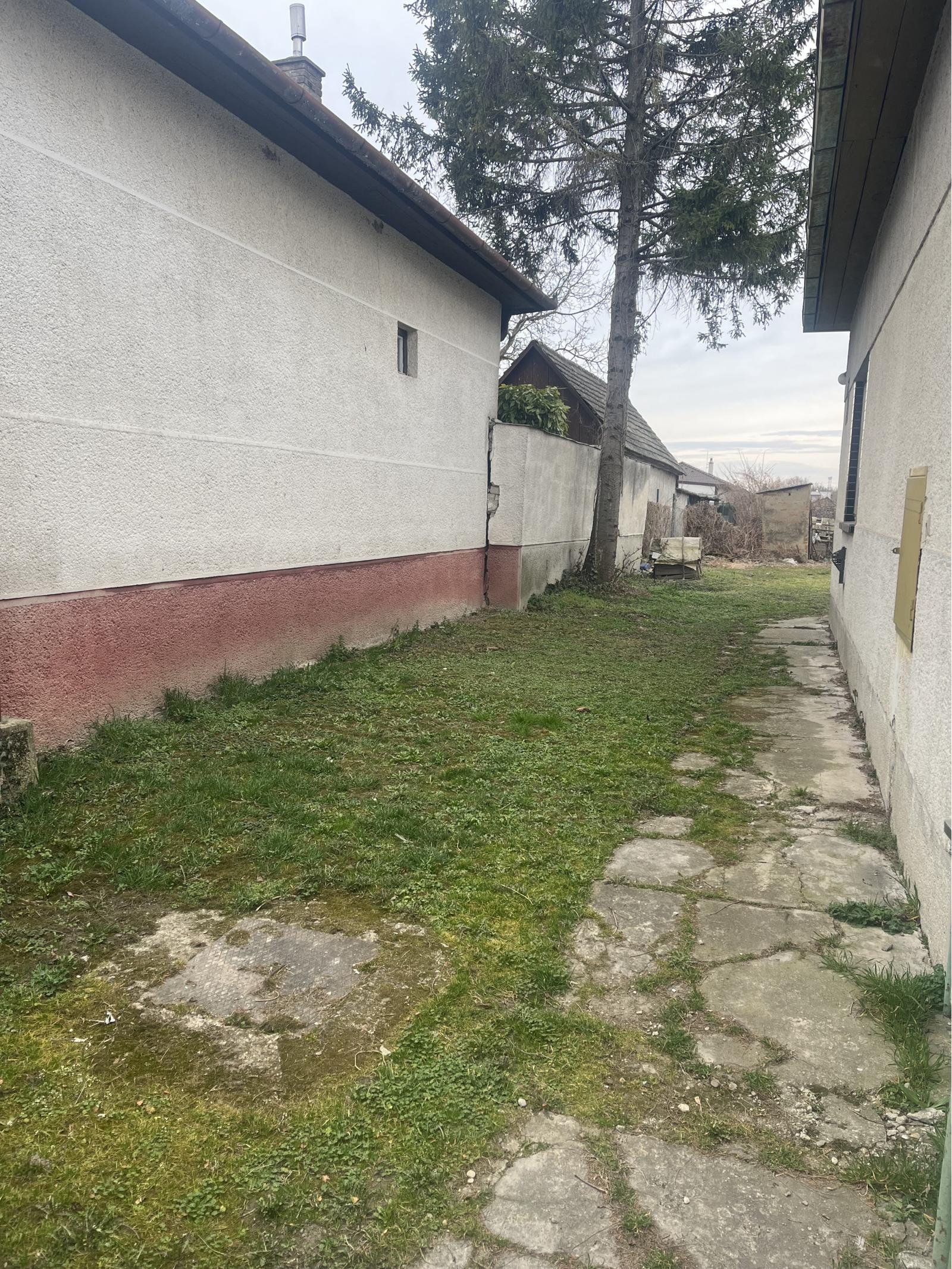 Na predaj stavebný pozemok so starším rodinným domom  v Gabčíkove, tichá lokalita – fotka 2