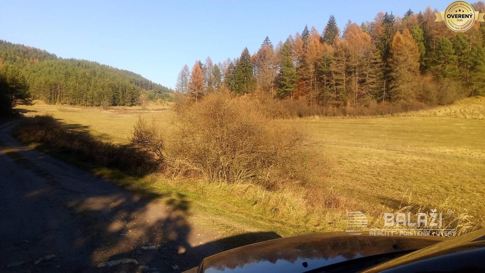 BRIEŠTIE- Hadviga lesný trávnatý pozemok 13 710 m2, vhodný na usadlosť