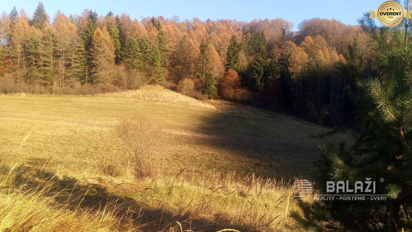 BRIEŠTIE- Hadviga lesný trávnatý pozemok 13 710 m2, vhodný na usadlosť – fotka 2