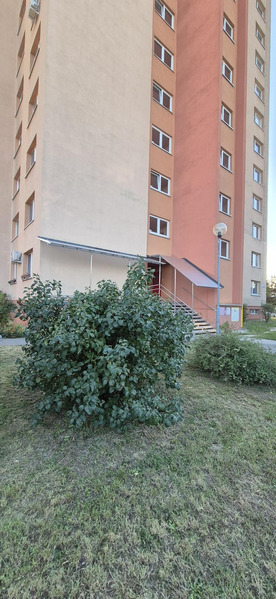 hľadám súrne 1i byt Vrakuňa, Podunajské Biskupice