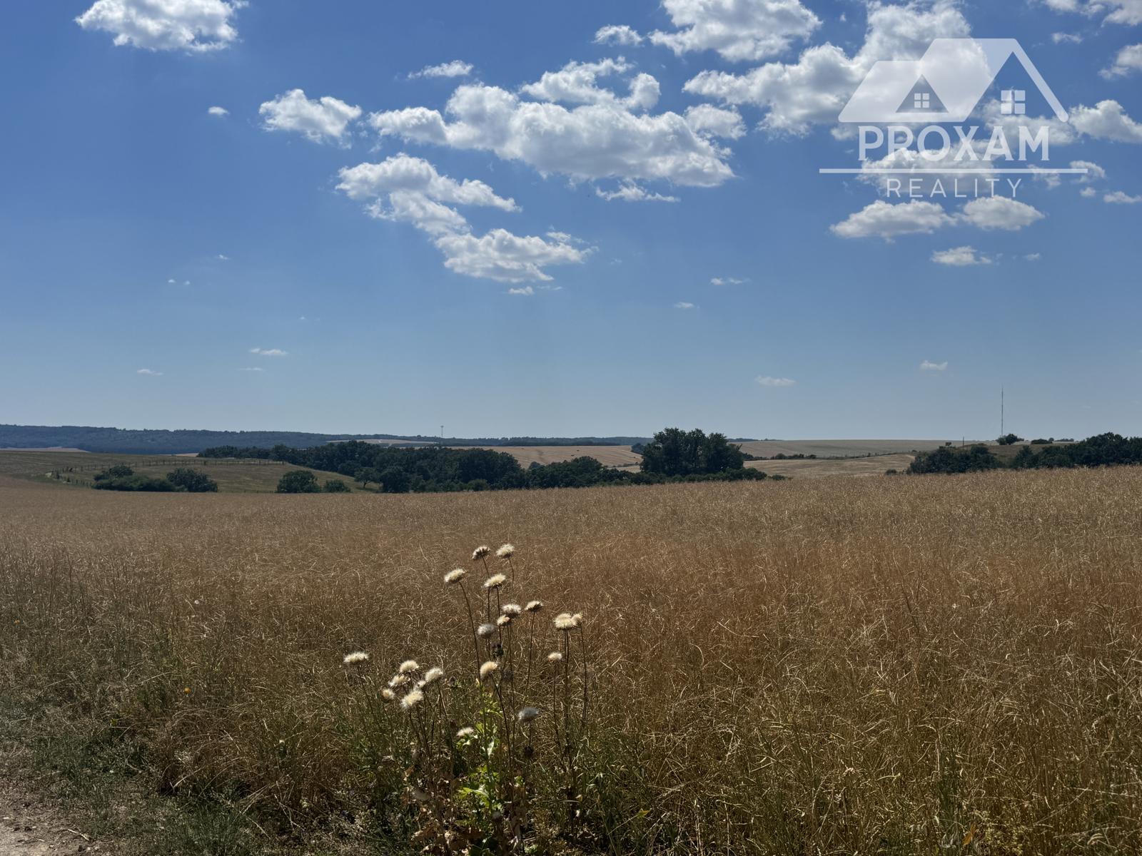 Na predaj jedinečný súbor poľnohospodárskych pozemkov a lesa, okres Krupina – fotka 2