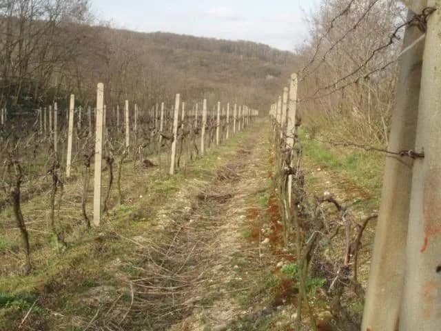 Investičný pozemok Krasňany BA III. – fotka 2