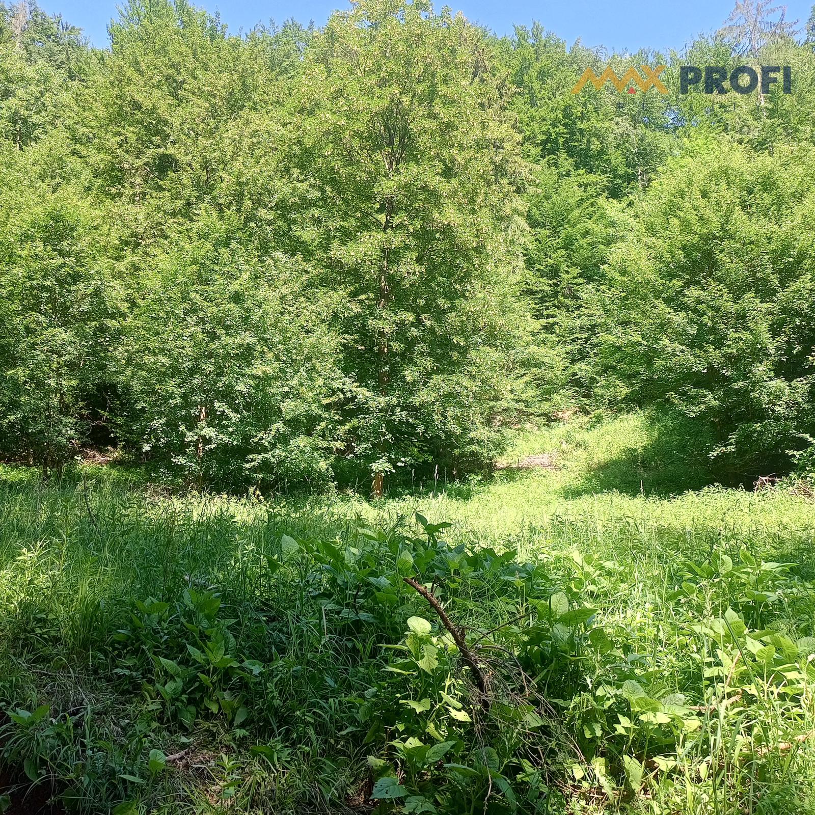 Na predaj: Pozemok pre dobrodruha alebo človeka s vlastnou víziou, Podhradie,  Martin, 1763m2