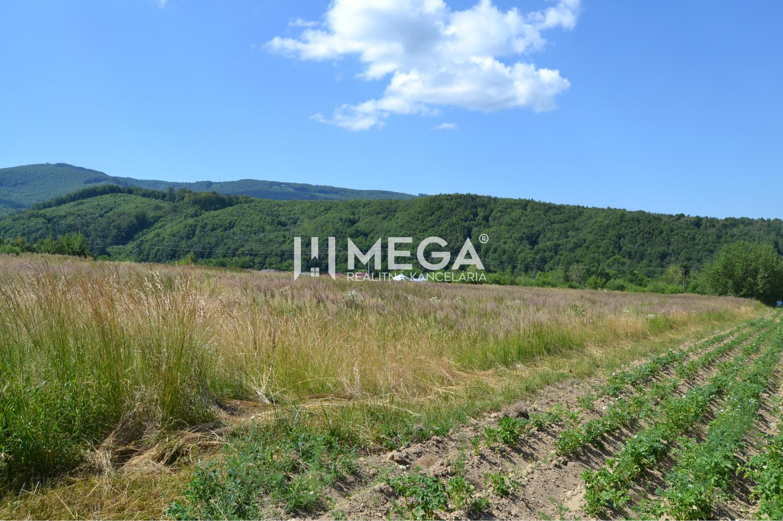 NOVÁ CENA-PREDAJ POZEMKU Zemplínske Hámre (2918 m2) – fotka 2