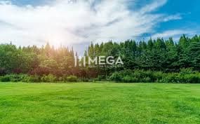 NA PREDAJ - INVESTÍČNÉ LESNÉ POZEMKY V OKOLÍ MESTA HUMENNÉ