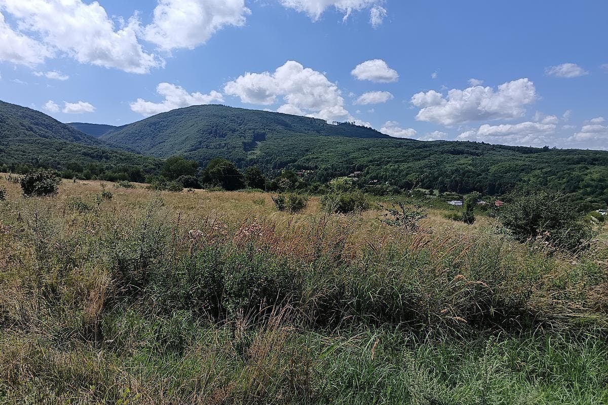 Rekreačný pozemok s panoramatickým výhľadom – Zemplínske Hámre – fotka 2