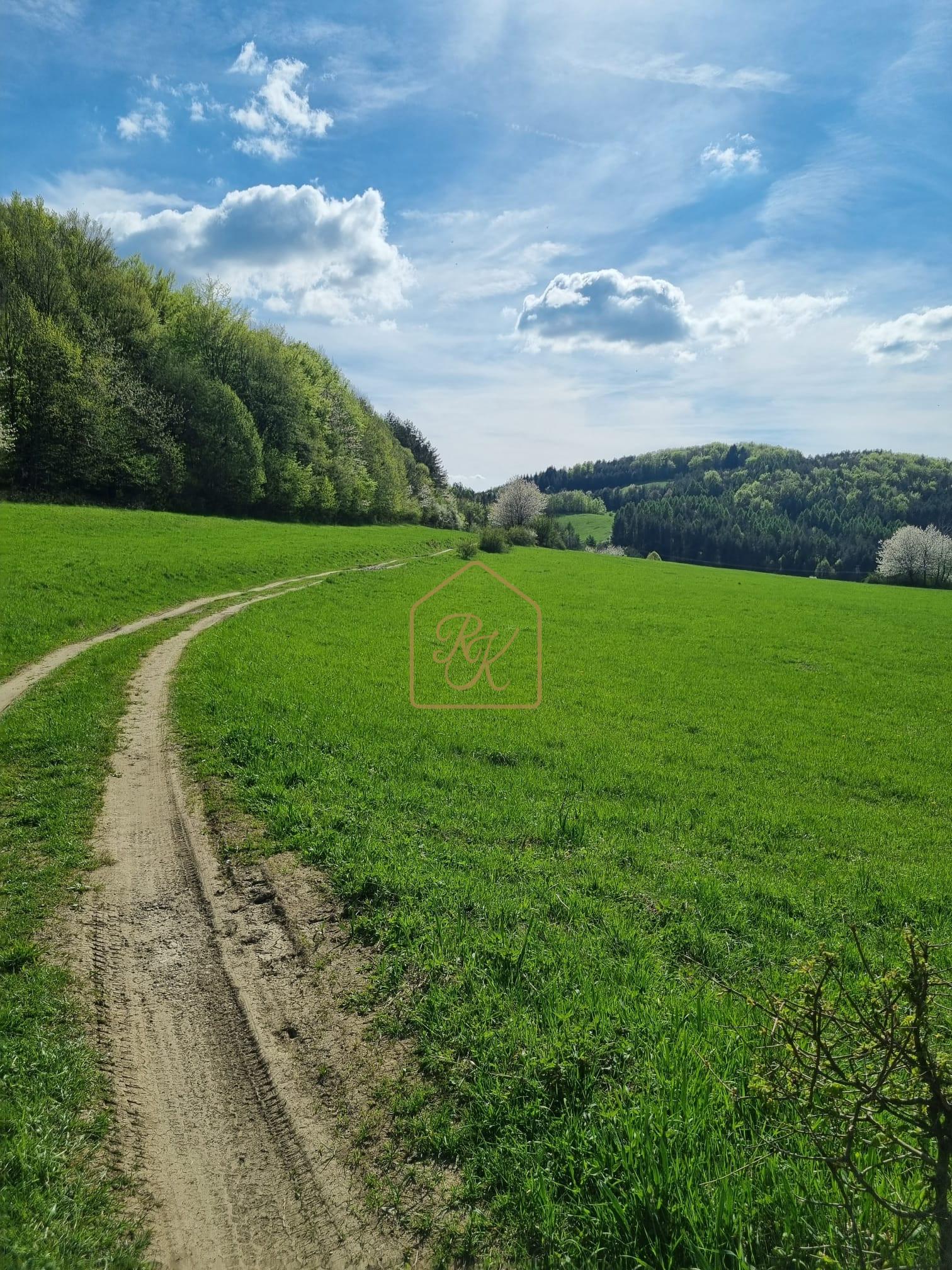 EXKLUZÍVNE - Veľké Pole, rozľahlý pozemok na samote - 16157m2 – fotka 2